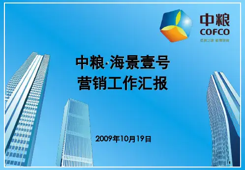 中粮海景壹号营销工作汇报