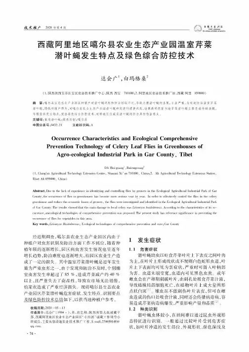 西藏阿里地区噶尔县农业生态产业园温室芹菜潜叶蝇发生特点及绿色综合防控技术