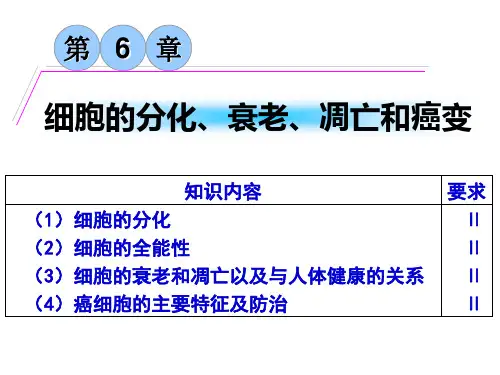 细胞分化、衰老、凋亡、癌变(复习)