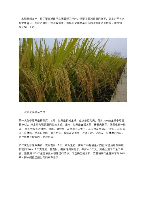 水稻化学除草方法及注意事项