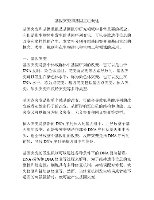 基因突变和基因重组概述