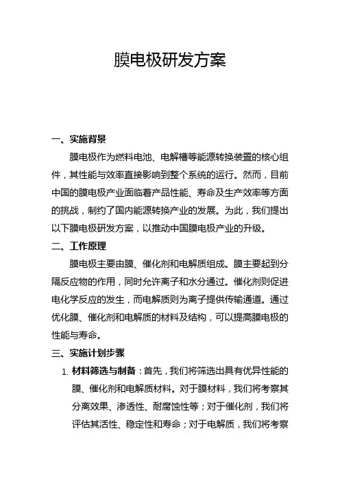 膜电极研发方案(一)