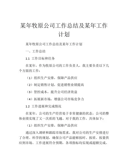 某年牧原公司工作总结及某年工作计划