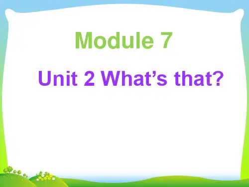 新外研版三年级英语上册Unit 2 What's that 课件 2