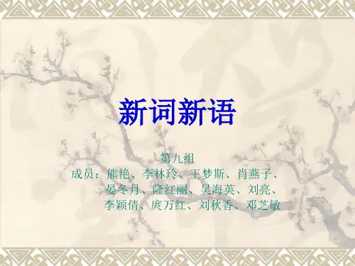 新词新语PPT总篇。