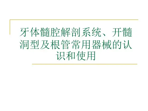 牙体髓腔解剖系统开髓