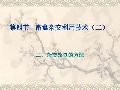 畜禽杂交利用技术PPT课件