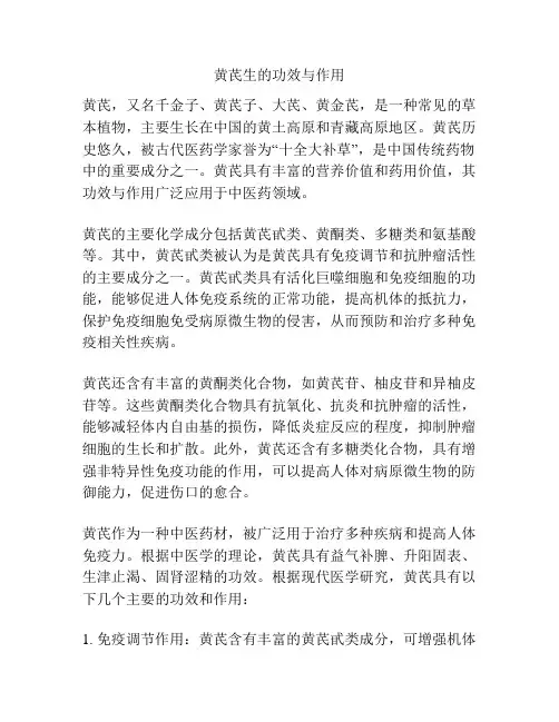 黄芪生的功效与作用