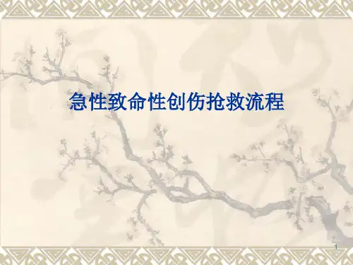 急性创伤PPT课件