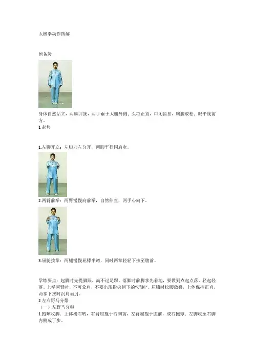 拳法动作图解