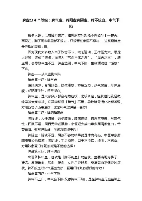 脾虚分4个等级：脾气虚、脾阳虚脾阴虚、脾不统血、中气下陷