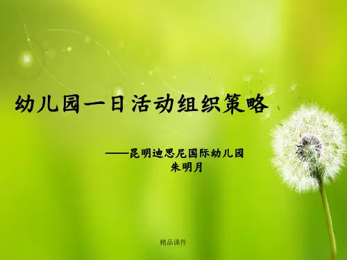 幼儿园一日活动组织策略.