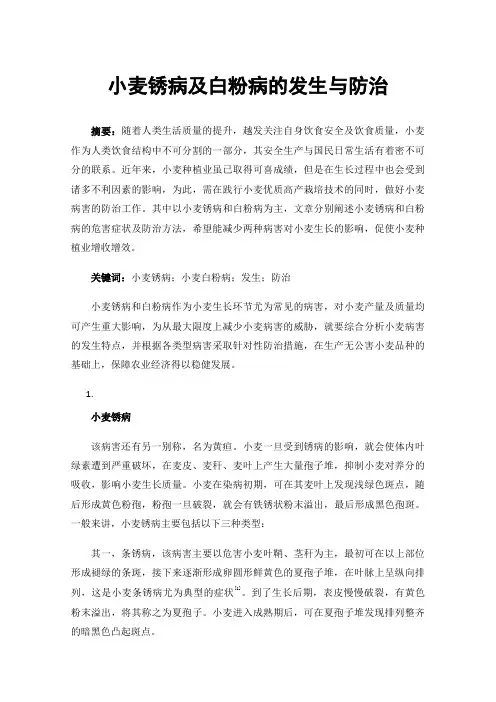 小麦锈病及白粉病的发生与防治