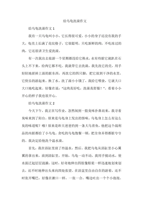 给乌龟洗澡作文