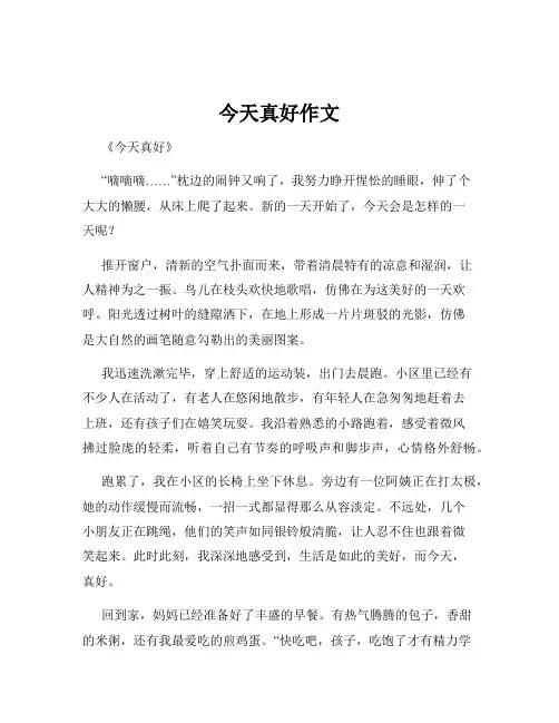 今天真好作文