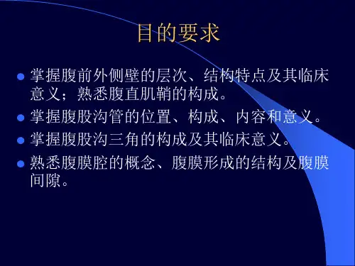 本科局解腹部