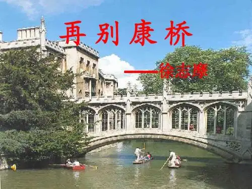 《再别康桥》(导学案)