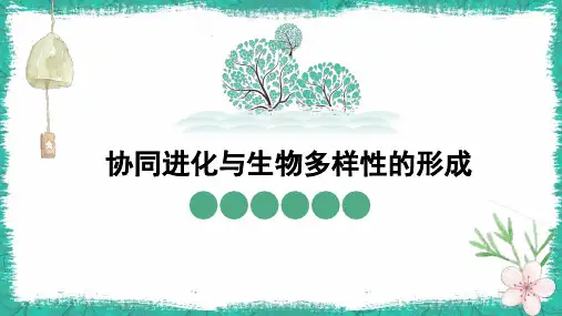 协同进化与生物多样性的形成课件高一下学期生物人教版必修2
