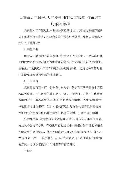 大黄鱼人工催产,人工授精,胚胎发育观察,仔鱼培育几部分,实训