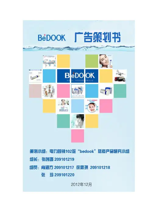 祛痘产品广告策划书(全)