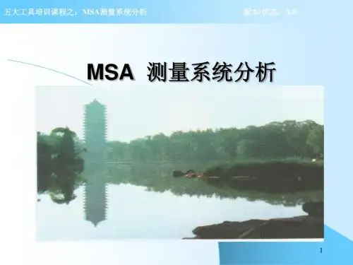 MSA讲义