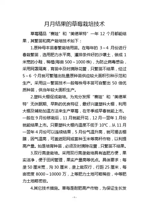 月月结果的草莓栽培技术