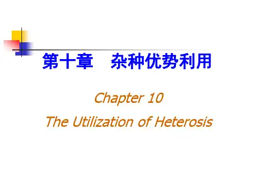 第七章杂种优势利用