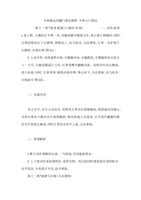 少林黏衣闪翻门拳法精粹 少林入门拳法