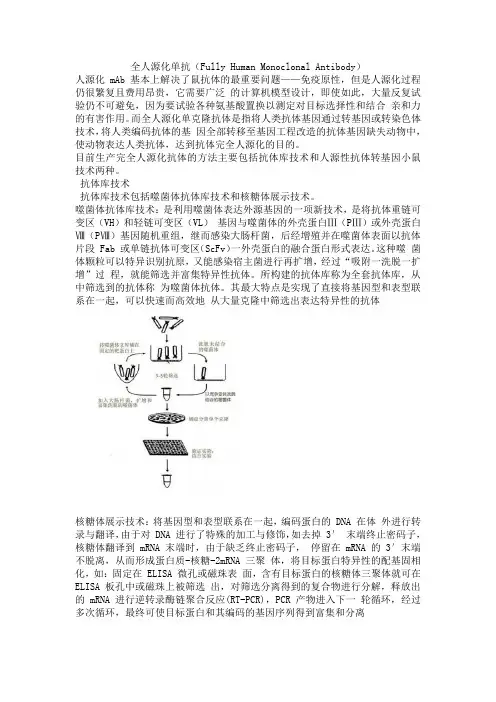 全人源化单抗(Fully Human Monoclonal Antibody)
