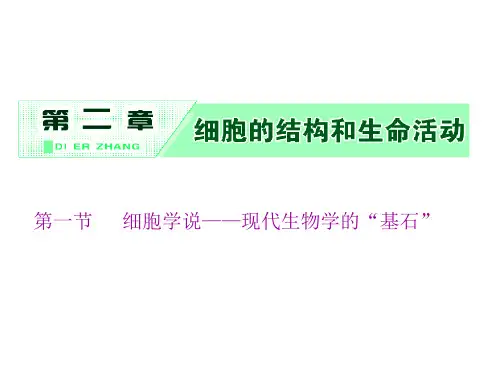 新教材生物苏教版必修1课件第二章第一节细胞学说——现代生物学的“基石”(1)