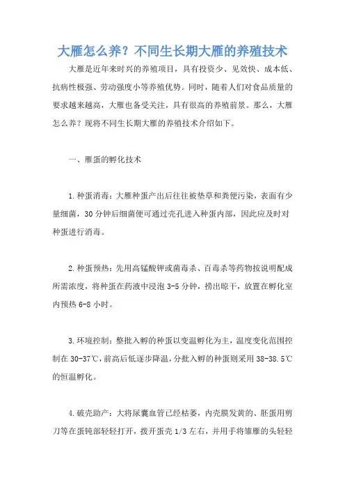 大雁怎么养？不同生长期大雁的养殖技术