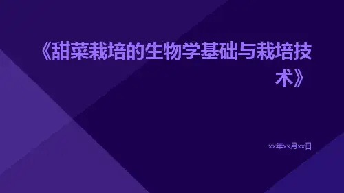 甜菜栽培的生物学基础与栽培技术