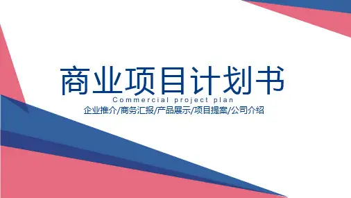 商业融资PPT模板