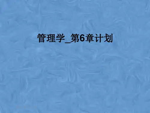 管理学_第6章计划