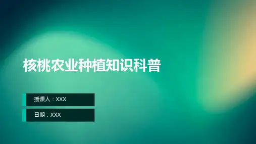 核桃农业种植知识科普PPT教学课件