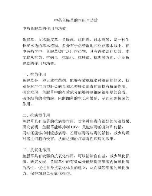 中药鱼腥草的作用与功效