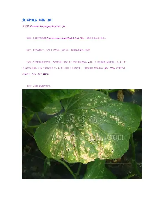黄瓜靶斑病 详解