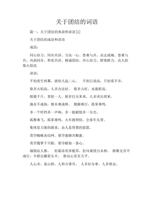 关于团结的词语