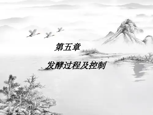 第五章-发酵过程控制ppt课件(全)