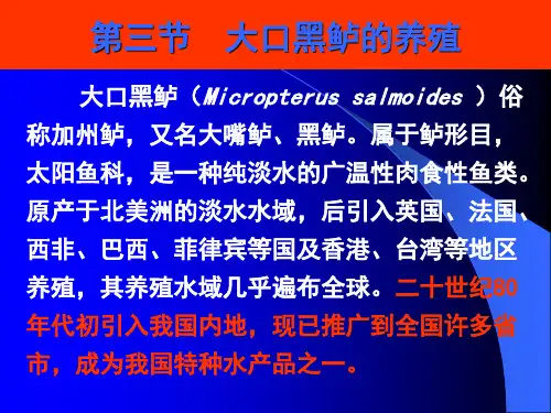 2019年-3-1-3加州鲈鱼-PPT精品文档-PPT精选文档