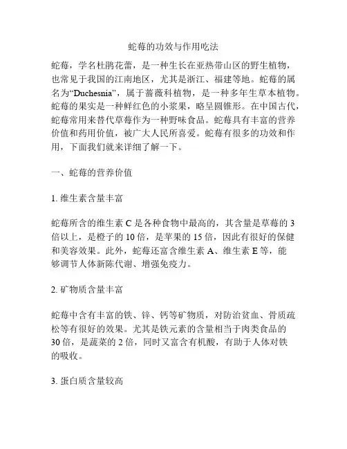 蛇莓的功效与作用吃法