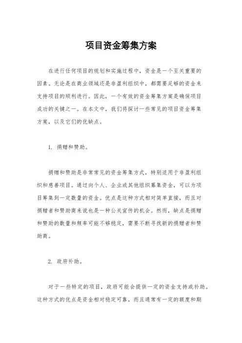 项目资金筹集方案