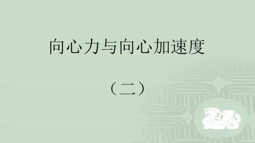 向心力的受力分析(三)