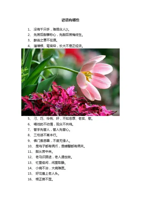 谚语有哪些