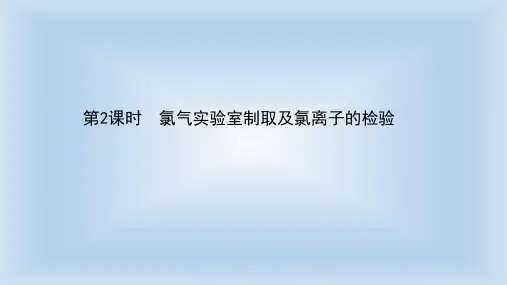 【新教材】人教版必修1第2章第2节氯及其化合物第2课时课件