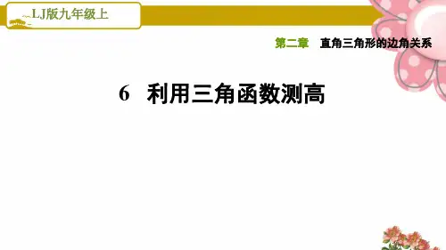 利用三角函数测高PPT课件