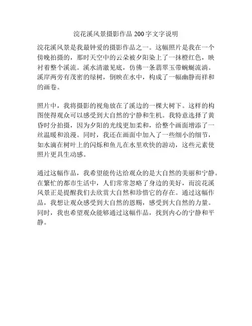 浣花溪风景摄影作品200字文字说明