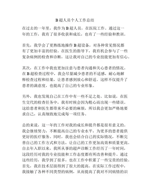 B超人员个人工作总结