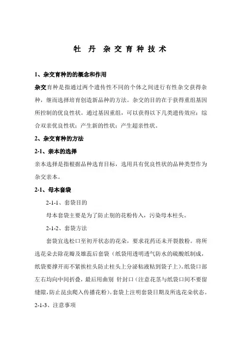 牡  丹  杂 交 授 粉 技 术