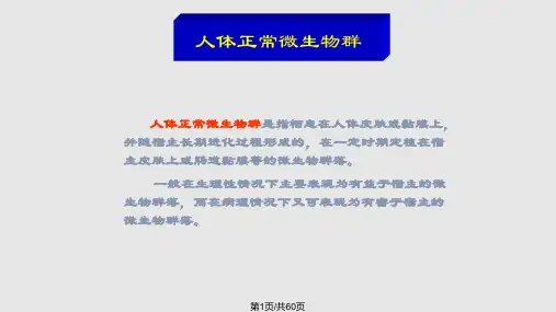 微生物与健康人体微生物及合理用药PPT课件